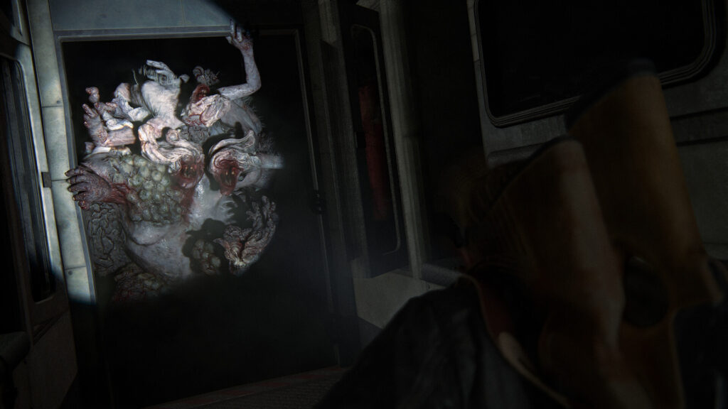 The Last of Us Part II Remastered